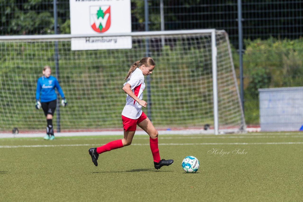 Bild 130 - wCJ Walddoerfer - Concordia : Ergebnis: 0:1